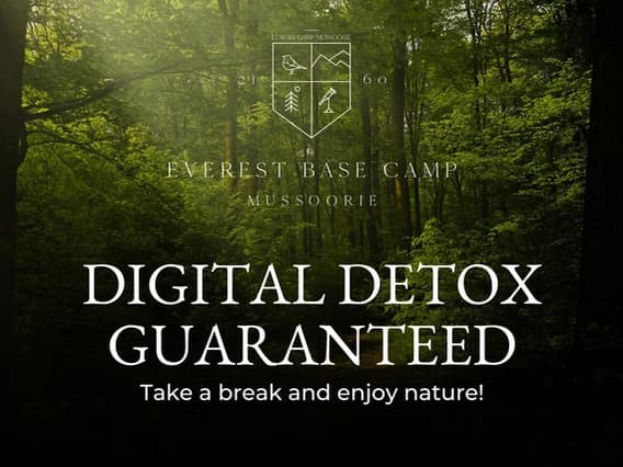 Unplugging in Nature: The Healing Power of a Digital Detox Retreat
