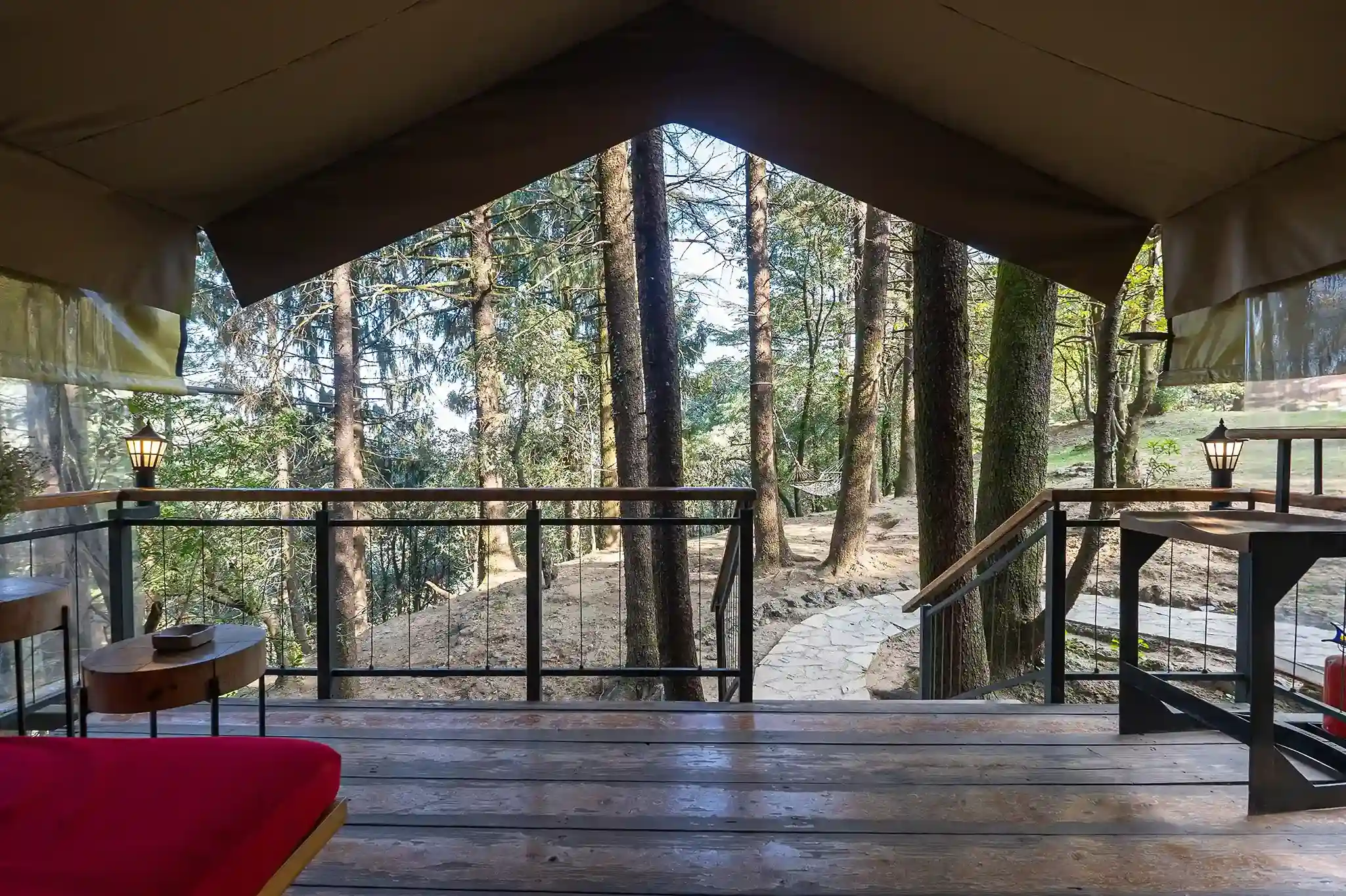 Surveyor Suite