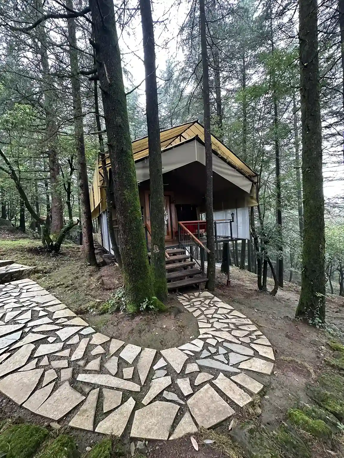 Surveyor Suite